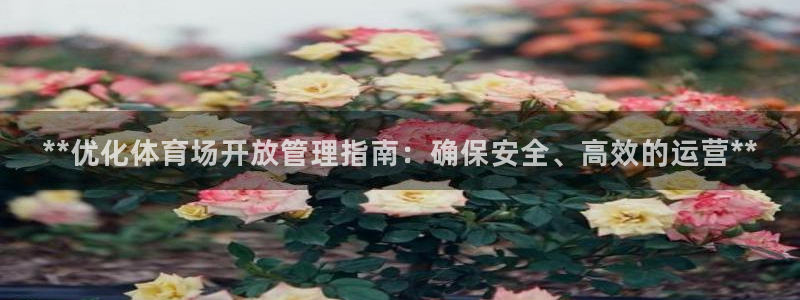 必一体育app平台下