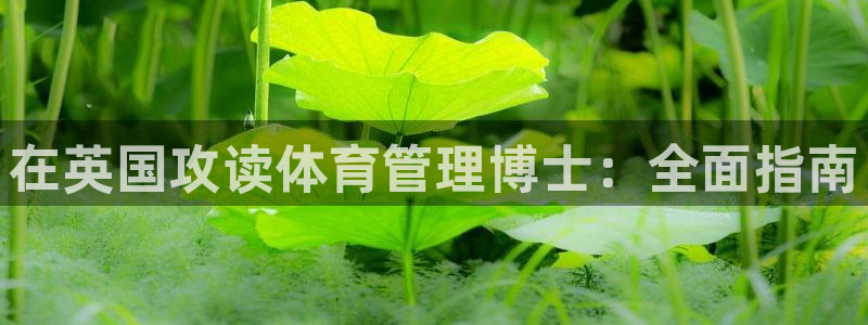 必一体育登录入口AP