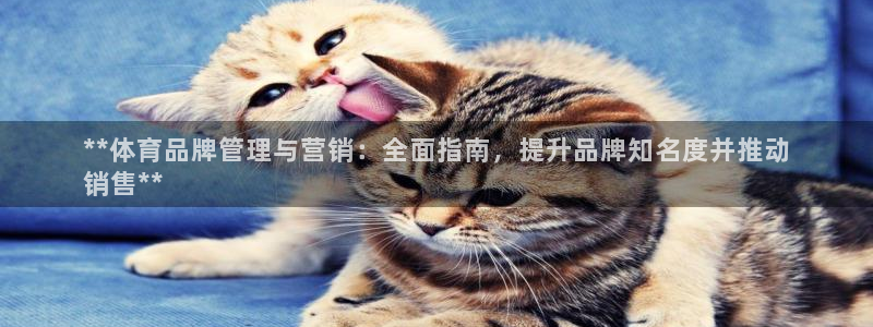 必一体育app官方网