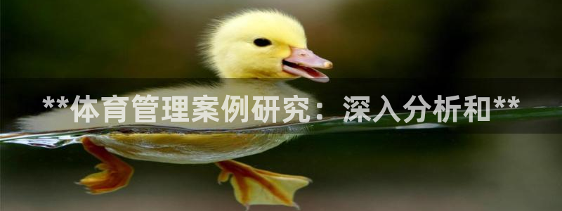 必一体育sportB