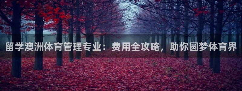 必一体育最新官网入口