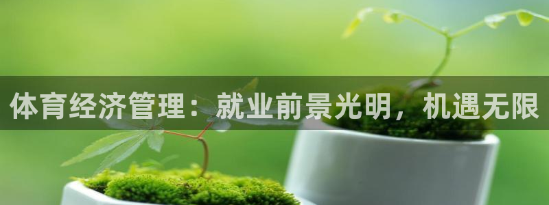 必一体育网页登陆：体
