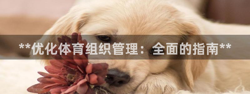 必一运动·(b-sp