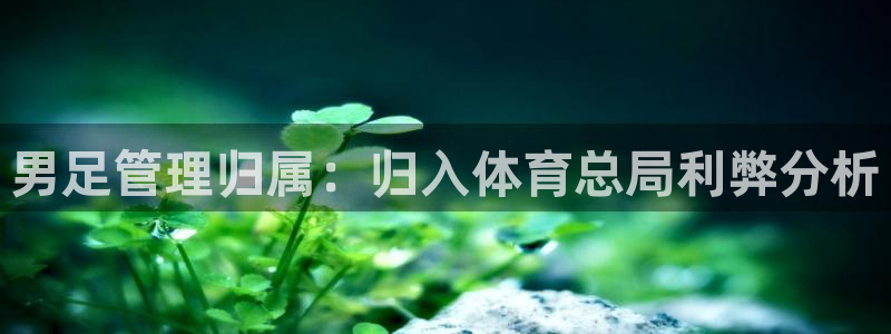 b体育必一下载：男足