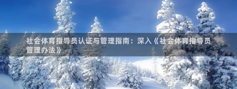 必一运动官网入口：社