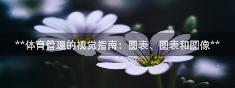 必一体育下载登入：*