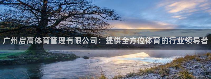 必一体育网页登陆：广