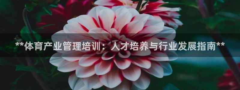 必一体育黑平台：**