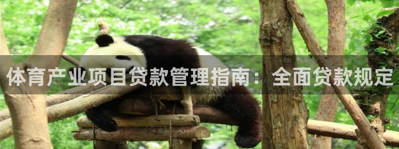 必一运动bsport