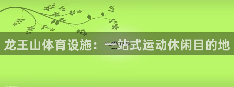 必一体育网页：龙王山