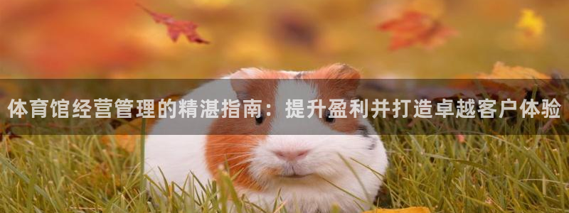 必一体育秀给网：体育