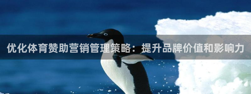必一体育APP：优化