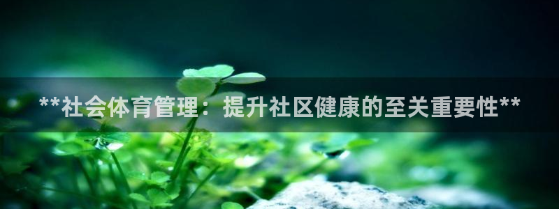 必一体育在线下载：*