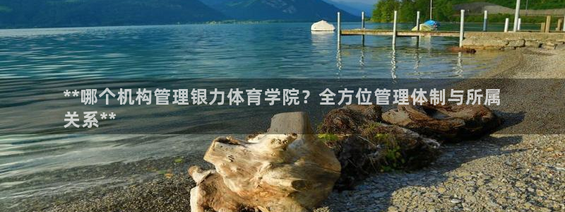 必一体育登录入口AP