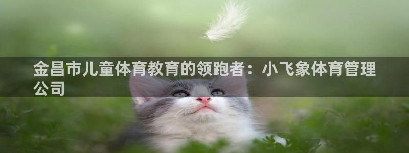 必一体育app官方正