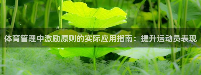 必一体育流水线是什么