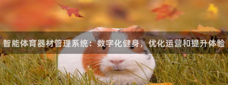 必一体育运动app：