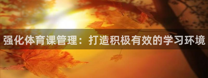 必一体育运动下载：强