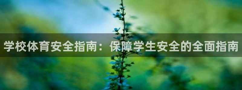 必一体育app官方网