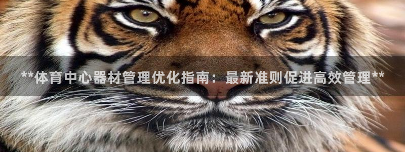 必一体育APP：**