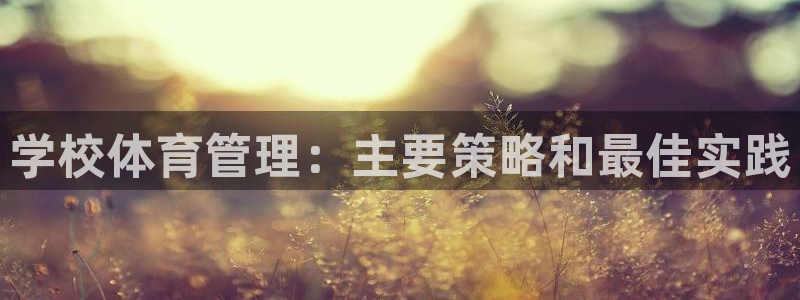 必一体育sport装