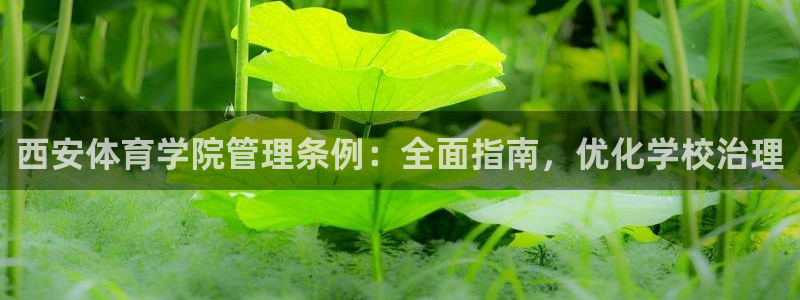 必一体育是啥：西安体