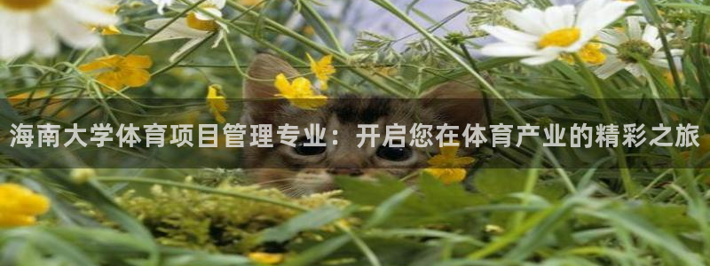 必一体育官方入口：海