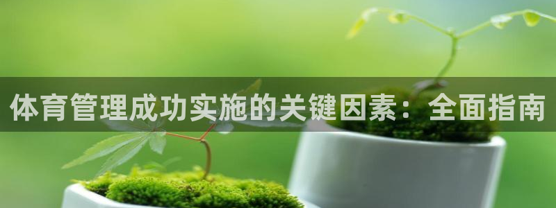 必一体育APP下载安