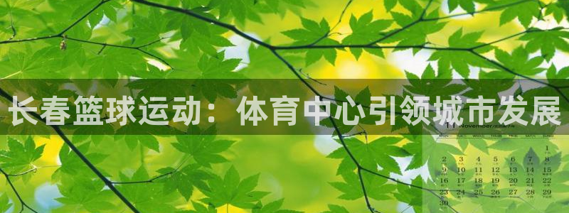 b体育官网下载入口a