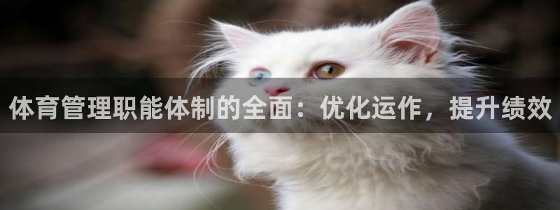 必一运动官网平台：体