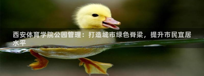 必一体育官网网址：西