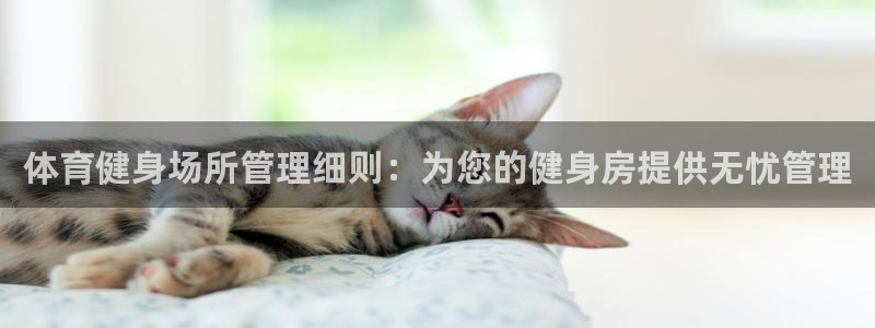 必一体育怎么下载：体