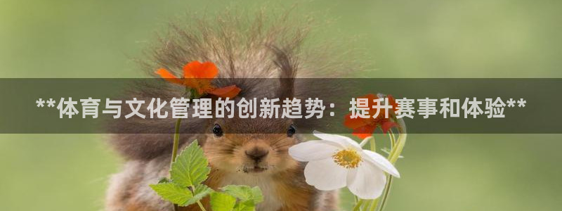 必一体育登录APP下