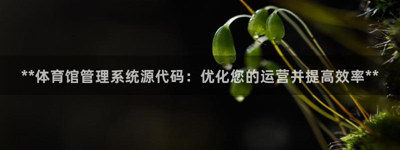 必一运动bsport