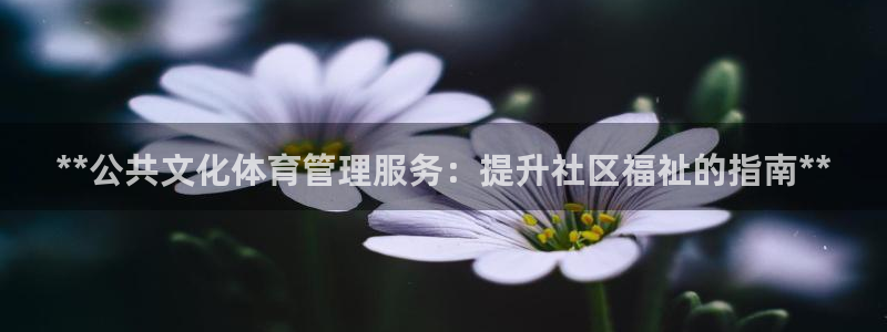 必一体育电子app：