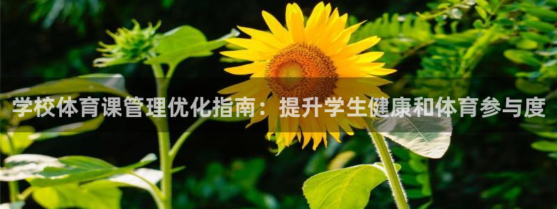 必一体育官网ios下