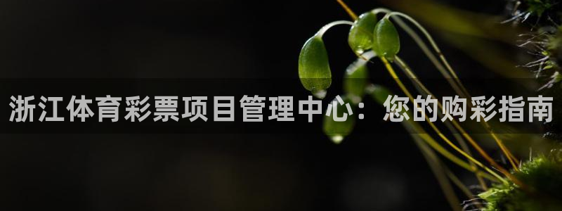 必一体育服下载最新版