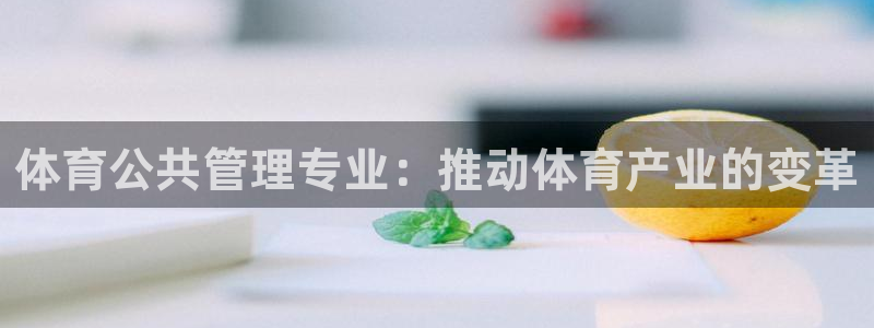 必一运动听的歌：体育