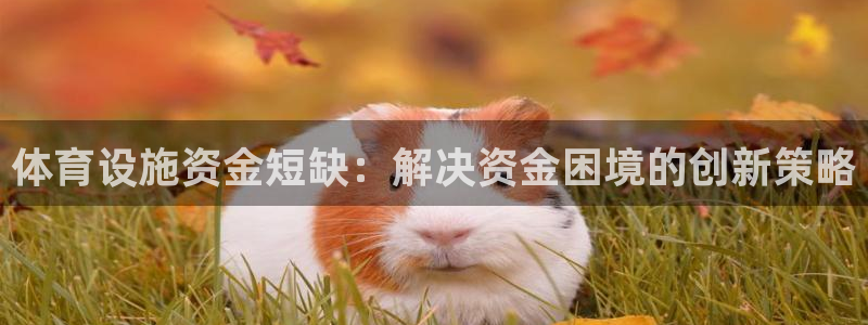 必一体育官方下载：体