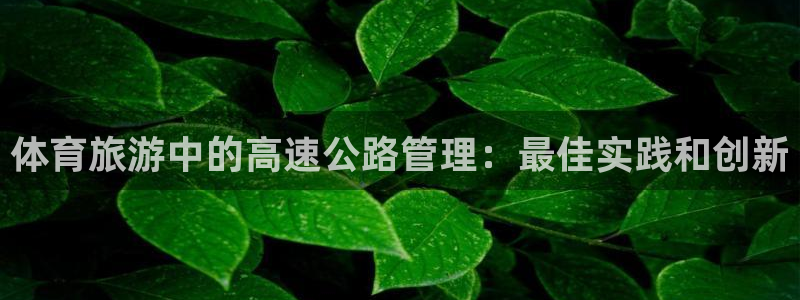 必一体育官网网站：体