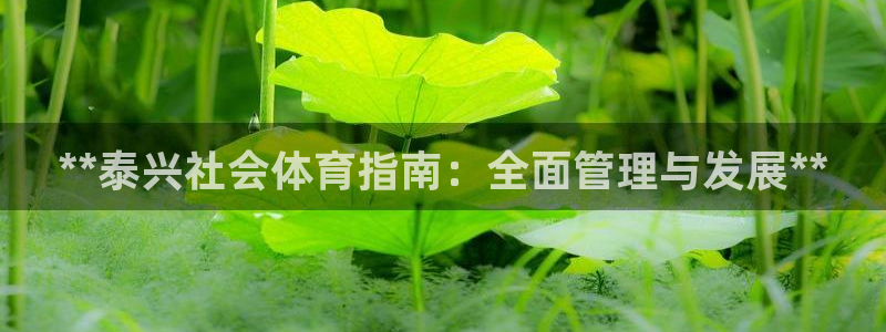 必一体育服下载最新版