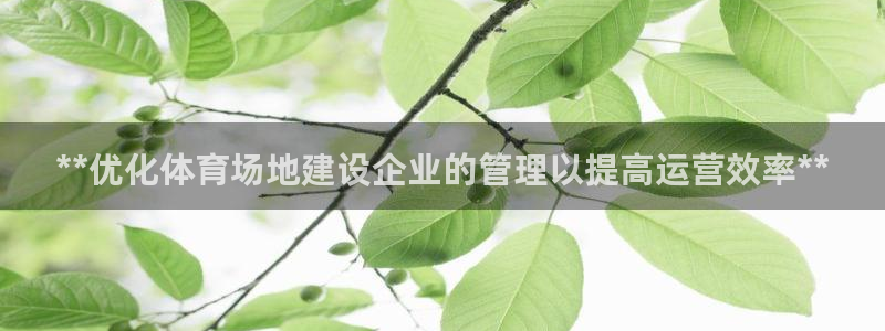 必一运动·(B-sp