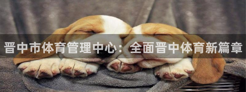 必一运动官网登录入口