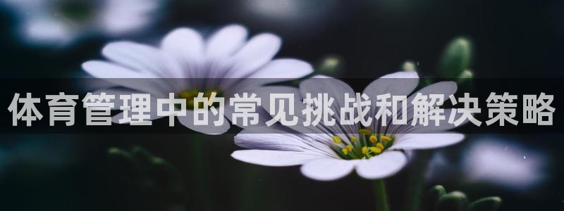 必一体育登录入口AP