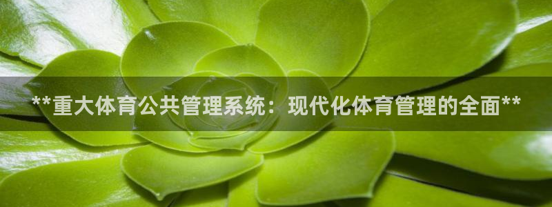 Bsport体育必一