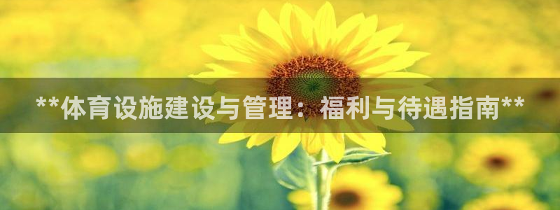 必一体育运动app下