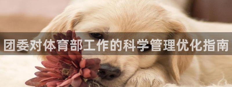 必一运动·(B-Sp