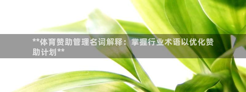 必一体育下载登入：*
