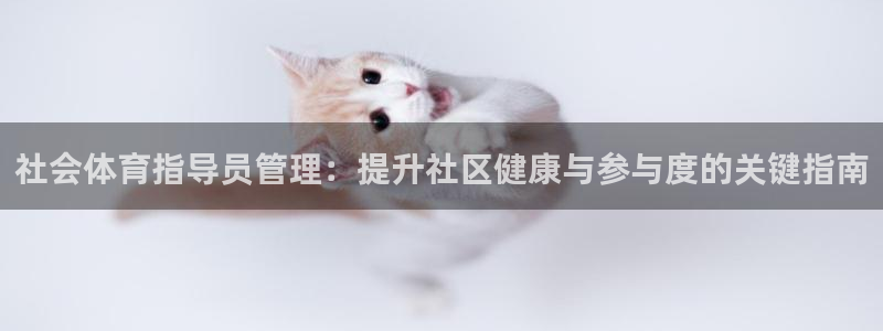 必一体育可靠吗：社会
