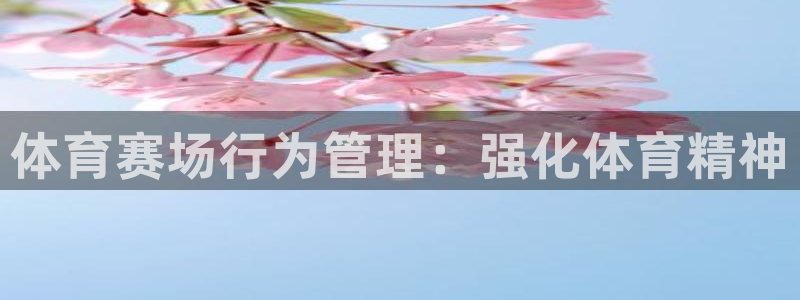 必一体育最新官网入口